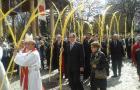 20130324_120653 (320x200)