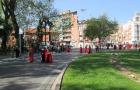 IMG_0478 (320x200)
