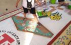 elaboracion (38) (Web)