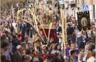 Cofradia Santo Sepulcro  (64)