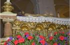 Cofradia Santo Sepulcro  (98)